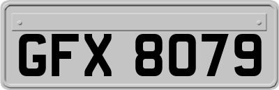 GFX8079