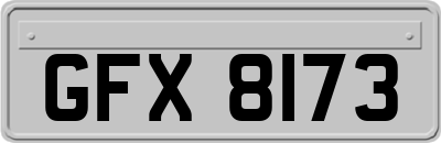GFX8173