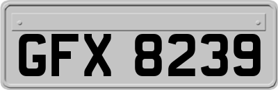 GFX8239
