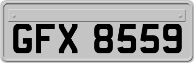 GFX8559