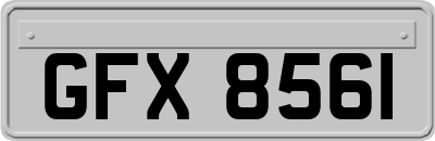 GFX8561