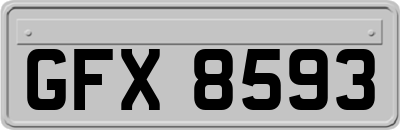 GFX8593