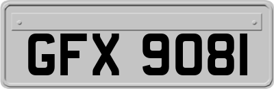 GFX9081