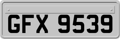 GFX9539