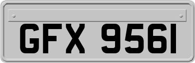 GFX9561