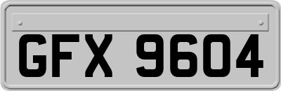 GFX9604