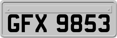 GFX9853