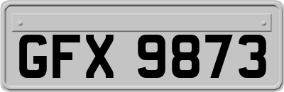 GFX9873