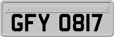 GFY0817