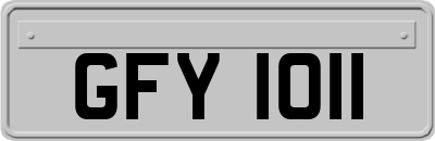 GFY1011