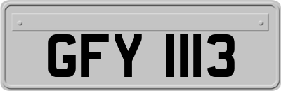 GFY1113