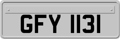GFY1131