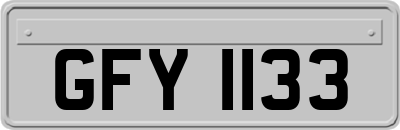 GFY1133