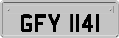 GFY1141