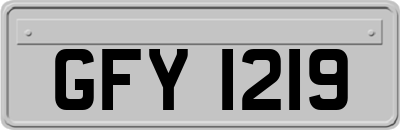 GFY1219