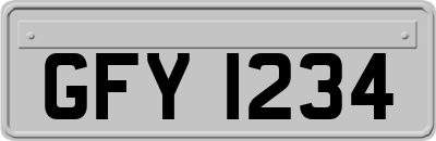 GFY1234