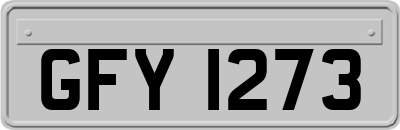 GFY1273