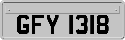 GFY1318
