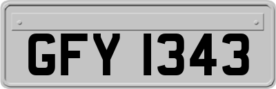 GFY1343