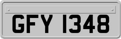 GFY1348