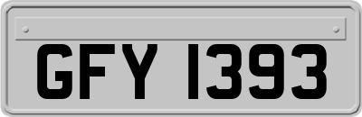 GFY1393