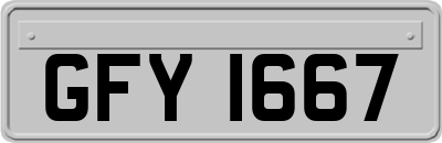 GFY1667