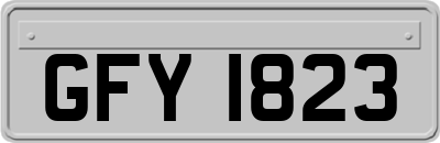 GFY1823