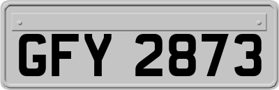 GFY2873