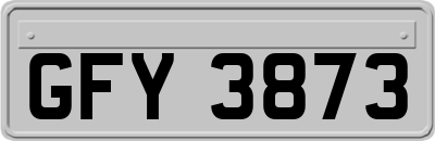 GFY3873