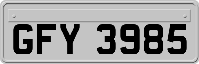 GFY3985