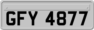 GFY4877