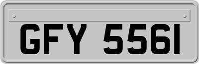 GFY5561