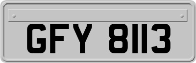GFY8113