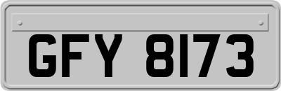 GFY8173