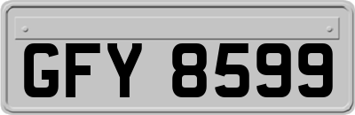GFY8599