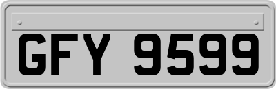 GFY9599