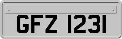 GFZ1231