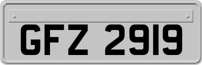 GFZ2919