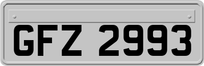 GFZ2993