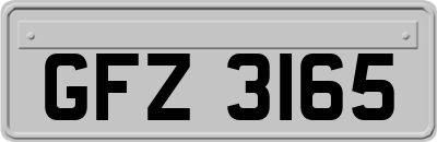GFZ3165