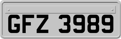 GFZ3989