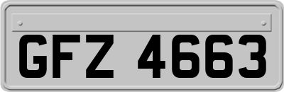 GFZ4663