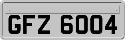 GFZ6004