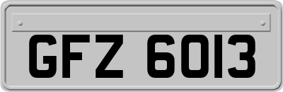 GFZ6013
