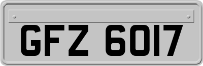 GFZ6017