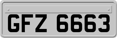 GFZ6663