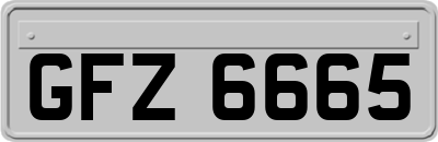 GFZ6665