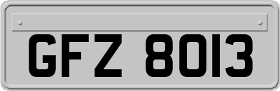 GFZ8013