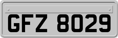 GFZ8029