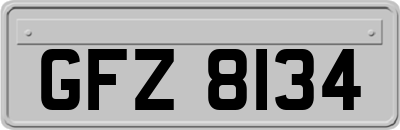 GFZ8134